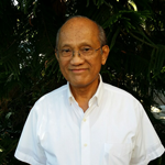 Nemsy Gubatan