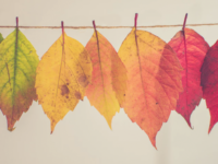 A Prodigious Love: Changes Upon Changes