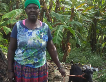Haiti Livestock Ministry