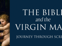 Women’s Evening Bible Study