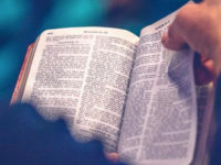 Sunday of the Word of God