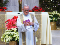 Weekly Homily