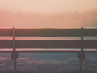 The Miracle of Waiting