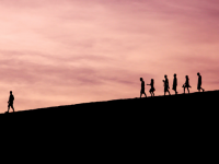 Follow the Leader