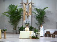 Returning to Mass