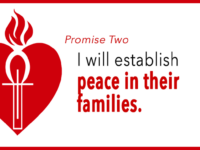 Promises of the Sacred Heart: Promise 2