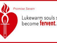 Promises of the Sacred Heart: Promise 7