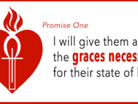 Promises of the Sacred Heart: Promise 1
