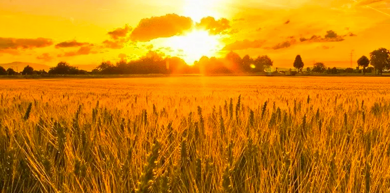 Responding to God’s “What If”