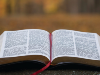 Reflection of the July 7 Gospel – Mark 6:2-4