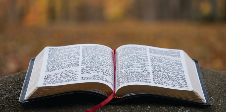 Reflection of the July 7 Gospel – Mark 6:2-4