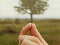 Seed Beginnings