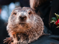 The Surprising Catholic Connections to Groundhog’s Day