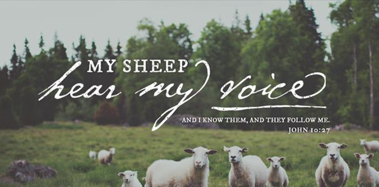 Reflection from the Gospel of John 10:27-30