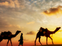 Gnats and Camels