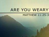 Reflection on Matthew 11: 25-30