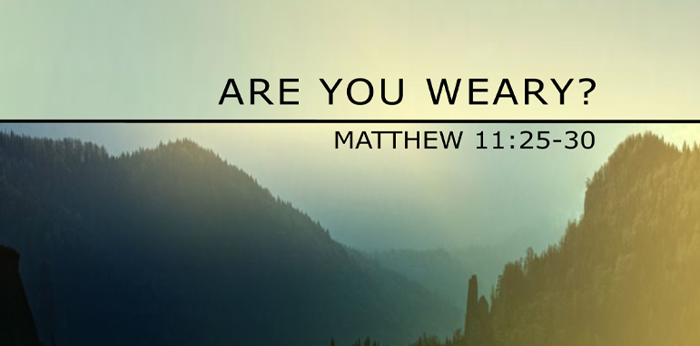 Reflection on Matthew 11: 25-30